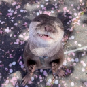 avatar Chiara •~•