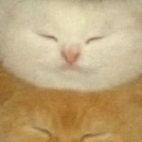 avatar SukiTheCookie