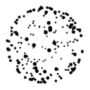.el1g