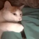 yote_that_yeet