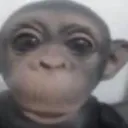yraijinn