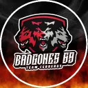 badgsiiedz