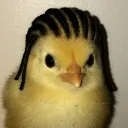 david_lnk