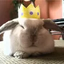 buns6248