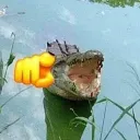 Magic Ape's Avatar