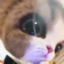 korrrmorr