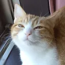 alsoswa