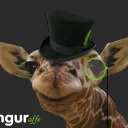 myimgurbroke