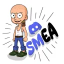 smea45