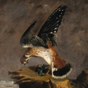 avatar The Ancient One