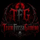 teamforzagaming