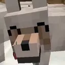 puvpp