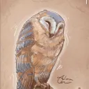 alma_garez