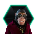 mrbibosha