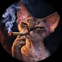 wronczi
