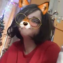 the_rabid_fox