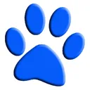 like_kitten