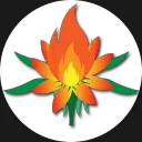 diefeuerlilie