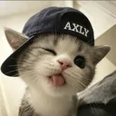 axlyp