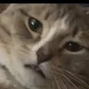 doomjayy19