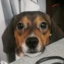 ._.yowyow#7121's avatar