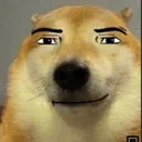 subtodoggo4life
