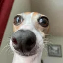 babatnmfa