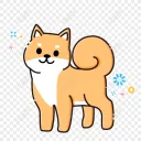 mrshiba
