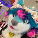 allen_owo