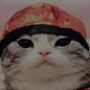 zyxwvutsrqponmlkjihgfe_dcba