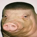 rbb0078