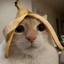 floraineyng