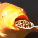 haxorusimp