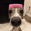 vine0000