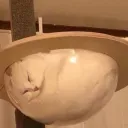 smoosh8210
