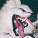 _oddy_._