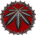 rooacch