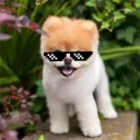 manager9100 avatar