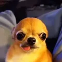 sendrayy