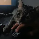 cocozera