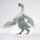 realangoose