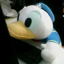 sennopikurusu