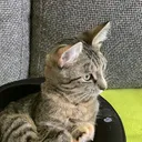 instabilspielt
