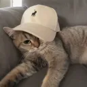 spaz1o