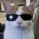 jtangkilla