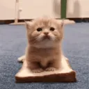 misterbagpack