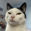 avatar liptonn guapo$$