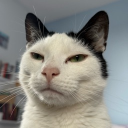 avatar liptonn guapo$$