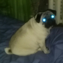 avatar Король-лич