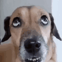 mrdeurmat